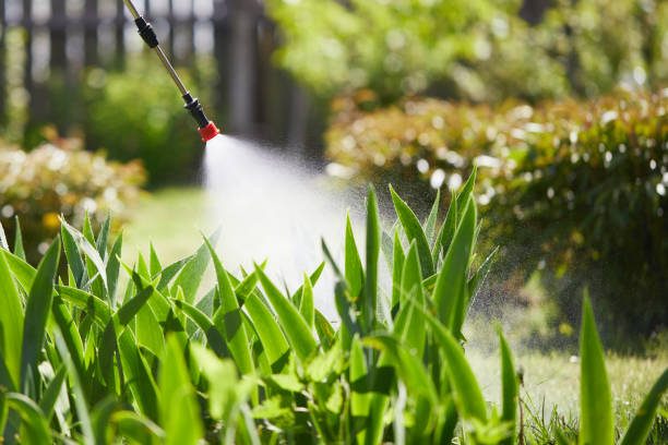 24/7 Emergency Cockroach Control experts in Jacksonville, TX